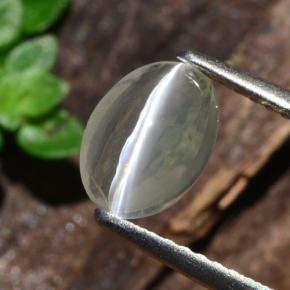 Silimanita Ojo de Gato Humo natural de 1.14 ct, Corte Óvalo, Transparente