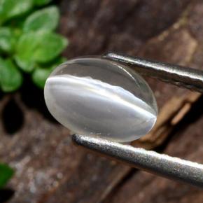 Silimanita Ojo de Gato Humo natural de 1.14 ct, Corte Óvalo, Transparente