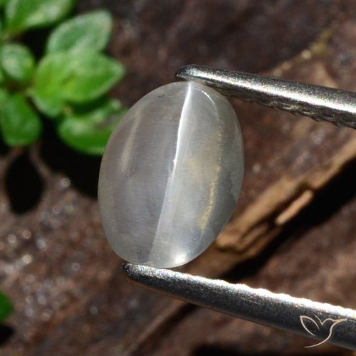 1.47ct Natural Blanco Silimanita Ojo de Gato, Ovalada, Translúcido