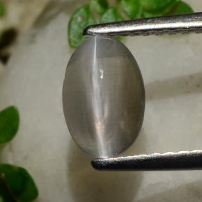 Silimanita Ojo de Gato Humo natural de 1.20 ct, Corte Óvalo, Transparente