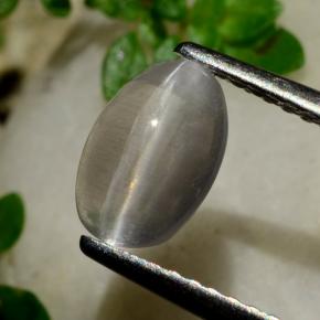 Silimanita Ojo de Gato Humo natural de 1.20 ct, Corte Óvalo, Transparente