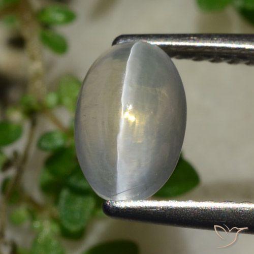 1.65ct Natural Gris muy claro Silimanita Ojo de Gato, Ovalada, Transparente