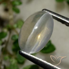 Silimanita Ojo de Gato Gris muy claro natural de 1.65 ct, Ovalada, Transparente