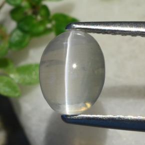 Silimanita Ojo de Gato Gris muy claro natural de 1.37 ct, Corte Óvalo, Transparente