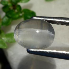 Silimanita Ojo de Gato Gris muy claro natural de 1.37 ct, Corte Óvalo, Transparente