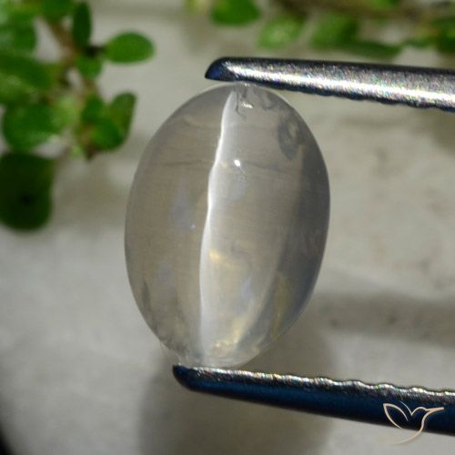 1.40ct Natural Gris muy claro Silimanita Ojo de Gato, Ovalada, Transparente