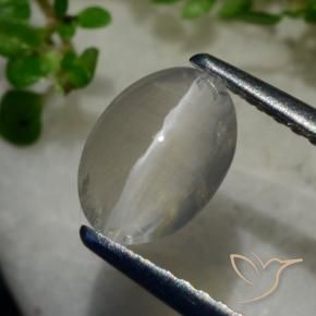 Silimanita Ojo de Gato Gris muy claro natural de 1.40 ct, Ovalada, Transparente