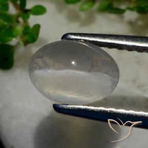 Silimanita Ojo de Gato Gris muy claro natural de 1.40 ct, Ovalada, Transparente