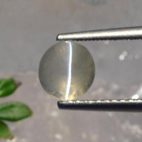 Sillimanite cat's eye gris natural de 1,56 ct, corte redondo, translúcido