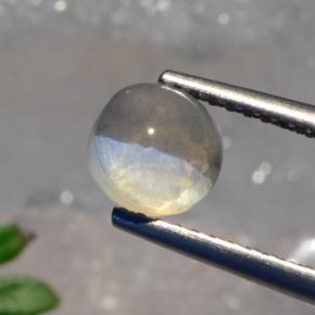 Sillimanite cat's eye gris natural de 1,56 ct, corte redondo, translúcido