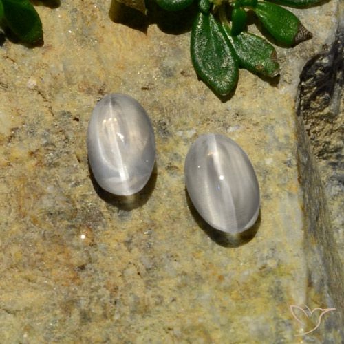 1.37ctw Natural Blanco Silimanita Ojo de Gato, Ovalada, Translúcido