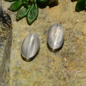 Gemas de Silimanita Ojo de Gato Blanco natural de 1.37 ct, Ovalada, Translúcido
