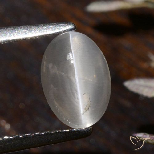 1.58ct Natural Blanco cálido Silimanita Ojo de Gato, Ovalada, Transparente