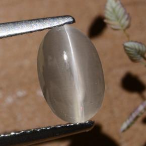 Silimanita Ojo de Gato Humo natural de 1.40 ct, Corte Óvalo, Translúcido