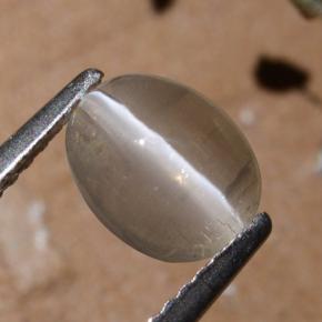 Silimanita Ojo de Gato Humo natural de 1.44 ct, Corte Óvalo, Translúcido