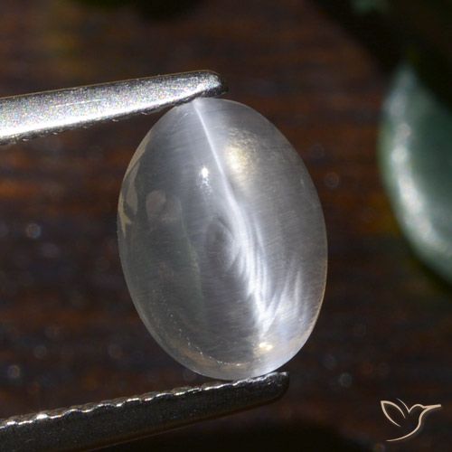 1.54ct Natural Blanco cálido Silimanita Ojo de Gato, Ovalada, Translúcido