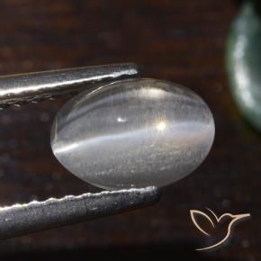 Silimanita Ojo de Gato Blanco cálido natural de 1.54 ct, Ovalada, Translúcido
