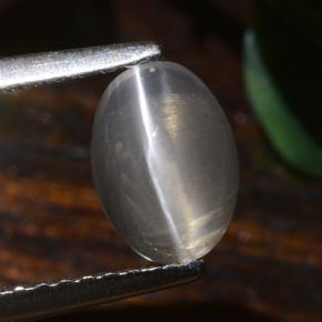 Silimanita Ojo de Gato Gris muy claro natural de 1.40 ct, Corte Óvalo, Translúcido