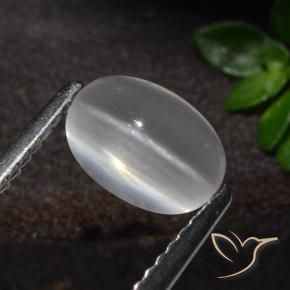 Silimanita Ojo de Gato Blanco natural de 1.51 ct, Ovalada, Transparente