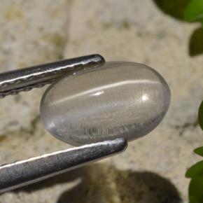 Silimanita Ojo de Gato Humo natural de 1.45 ct, Corte Óvalo, Transparente