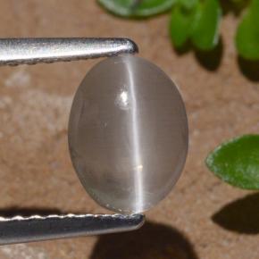 Silimanita Ojo de Gato Humo natural de 1.29 ct, Corte Óvalo, Transparente