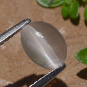 Silimanita Ojo de Gato Humo natural de 1.29 ct, Corte Óvalo, Transparente