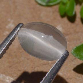 Silimanita Ojo de Gato Humo natural de 1.29 ct, Corte Óvalo, Transparente