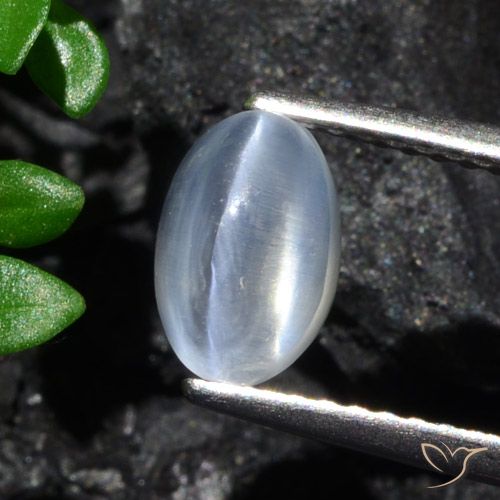 1.70ct Natural Claro Silimanita Ojo de Gato, Ovalada, Transparente