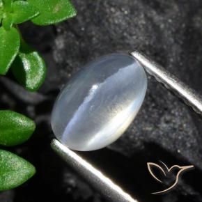 Silimanita Ojo de Gato Claro natural de 1.70 ct, Ovalada, Transparente