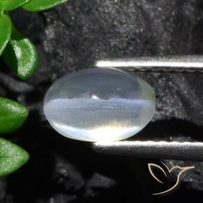 Silimanita Ojo de Gato Claro natural de 1.70 ct, Ovalada, Transparente