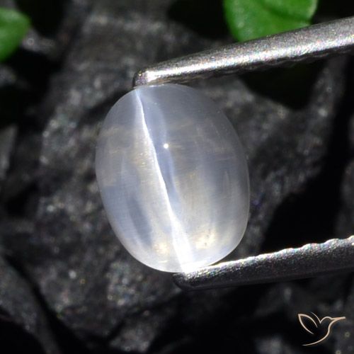 1.61ct Natural Claro Silimanita Ojo de Gato, Ovalada, Transparente