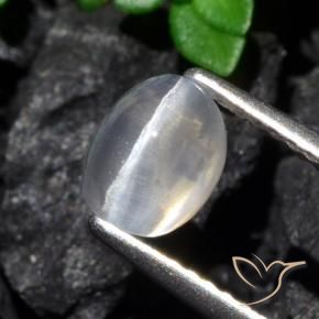 Silimanita Ojo de Gato Claro natural de 1.61 ct, Ovalada, Transparente