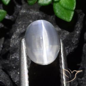 Silimanita Ojo de Gato Claro natural de 1.61 ct, Ovalada, Transparente