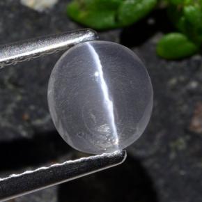 Sillimanite cat's eye gris natural de 1,03 ct, corte óvalo, transparente