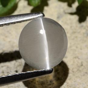 Silimanita Ojo de Gato Humo natural de 1.59 ct, Corte Redondo, Transparente