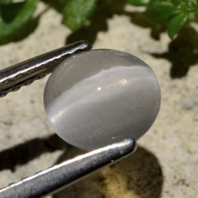 Silimanita Ojo de Gato Humo natural de 1.59 ct, Corte Redondo, Transparente