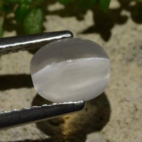 Silimanita Ojo de Gato Humo natural de 1.57 ct, Corte Óvalo, Transparente