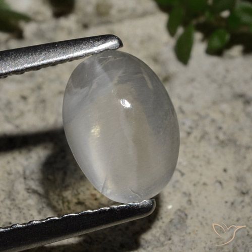 1.44ct Natural Blanco claro Silimanita Ojo de Gato, Ovalada, Transparente