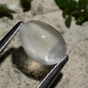 Silimanita Ojo de Gato Blanco claro natural de 1.44 ct, Ovalada, Transparente