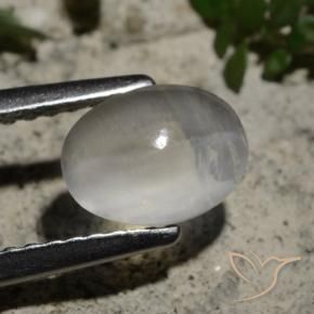 Silimanita Ojo de Gato Blanco claro natural de 1.44 ct, Ovalada, Transparente