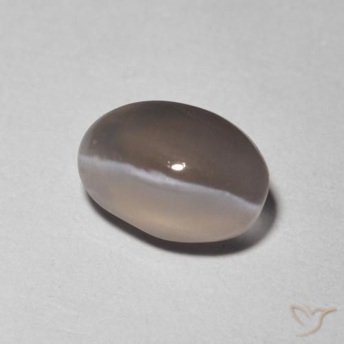Silimanita Ojo de Gato Gris muy claro natural de 1.48 ct, Ovalada, Transparente