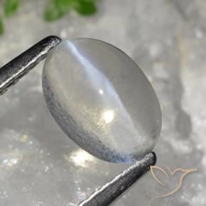 Silimanita Ojo de Gato Gris muy claro natural de 1.49 ct, Ovalada, Transparente