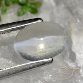 Silimanita Ojo de Gato Gris muy claro natural de 1.49 ct, Ovalada, Transparente