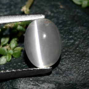 Sillimanite cat's eye gris natural de 1,39 ct, corte óvalo, transparente