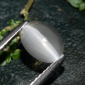 Sillimanite cat's eye gris natural de 1,39 ct, corte óvalo, transparente