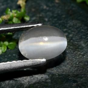 Sillimanite cat's eye gris natural de 1,39 ct, corte óvalo, transparente