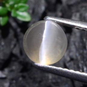 Sillimanite cat's eye gris natural de 1,74 ct, corte redondo, translúcido