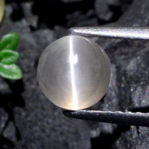 Sillimanite cat's eye gris natural de 1,74 ct, corte redondo, translúcido