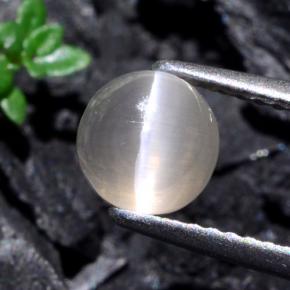 Sillimanite cat's eye gris natural de 1,74 ct, corte redondo, translúcido