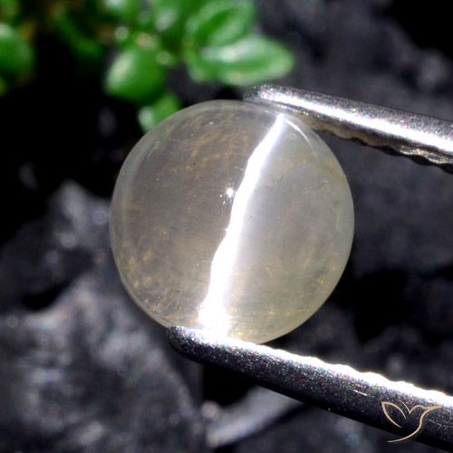 1.53ct Natural Blanco cálido Silimanita Ojo de Gato, Redondo, Translúcido